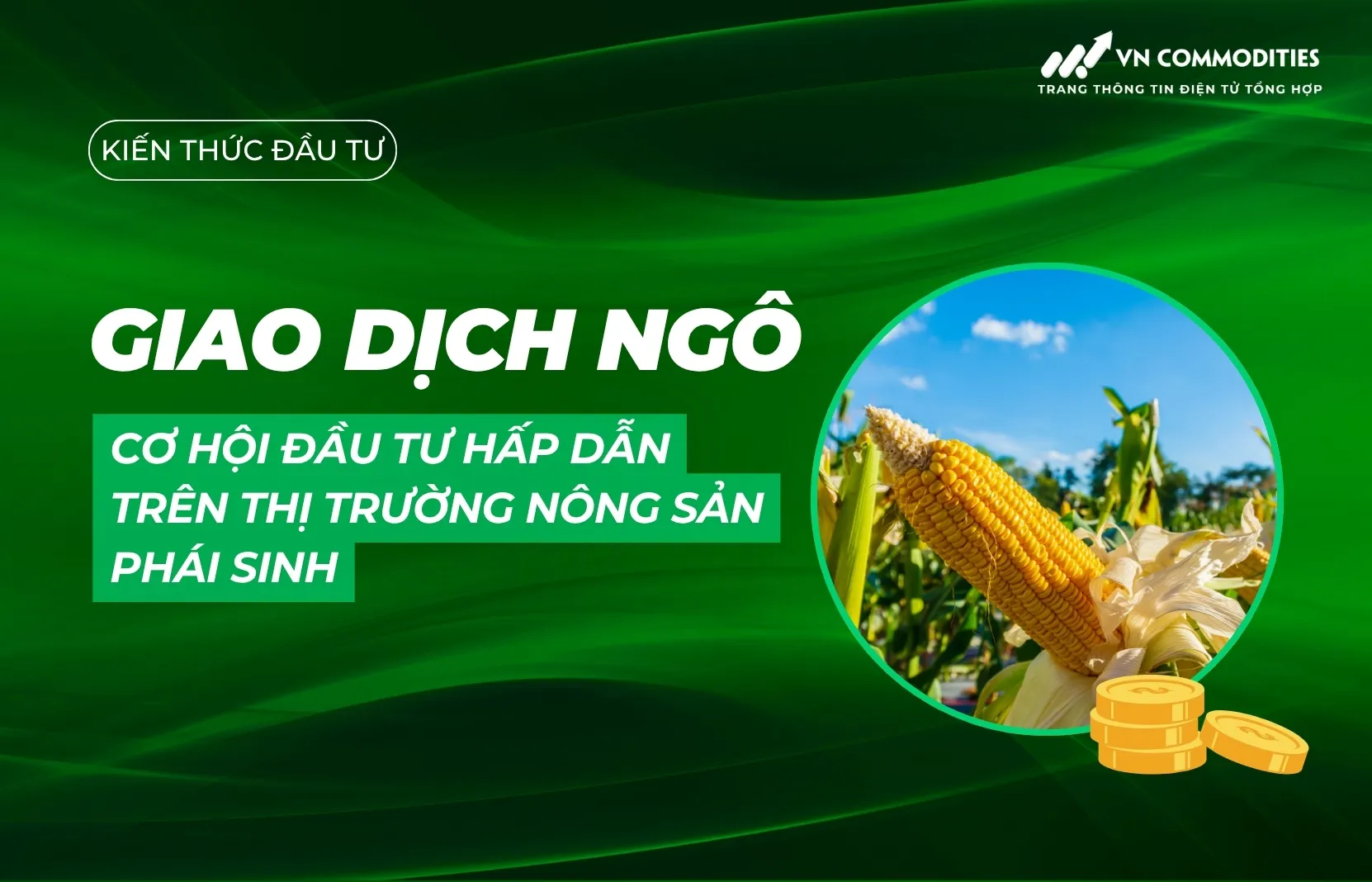 Giao dịch ngô - Cơ hội đầu tư hấp dẫn trên thị trường nông sản phái sinh